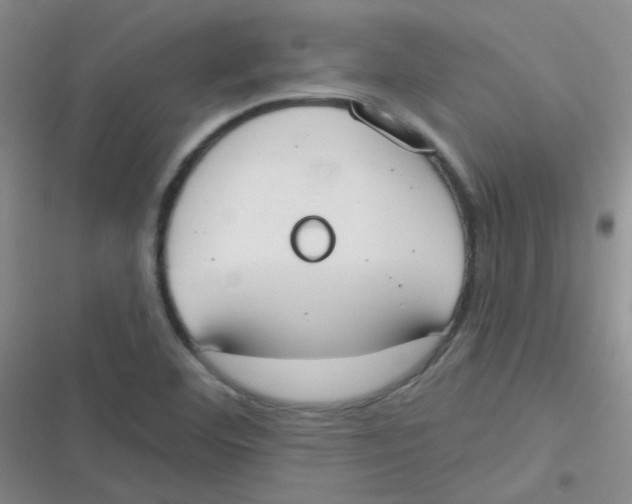 X0000116831460201001081427