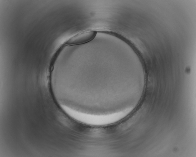 X0000116831461201001081427