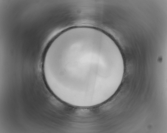 X0000116831462201001081427