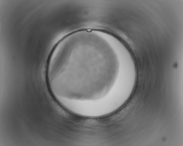 X0000116831463201001081427