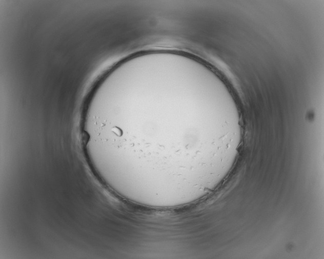 X0000116831464201001081427