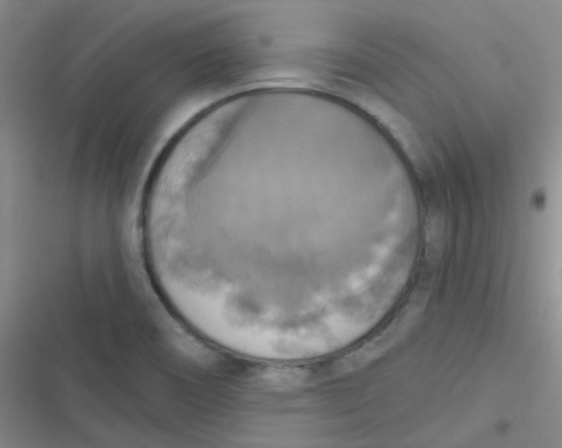 X0000116831466201001081427