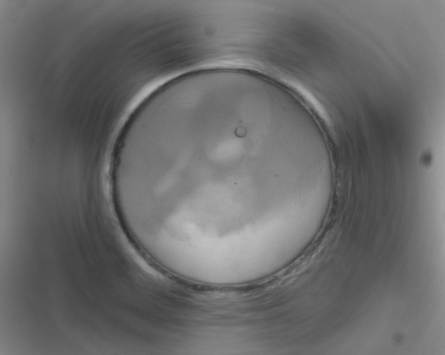 X0000116831468201001081427