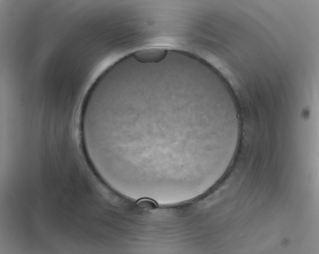 X0000116831469201001081427