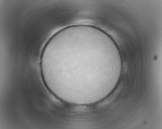 X0000116831470201001081427