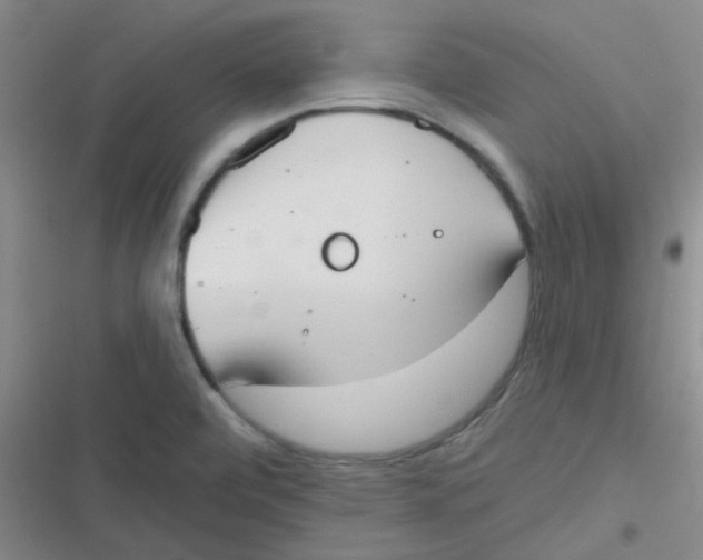 X0000116831472201001081427