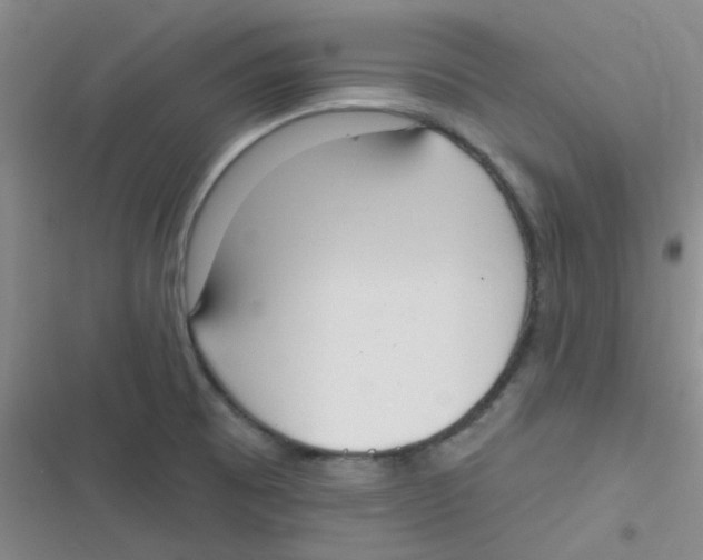 X0000116831473201001081427