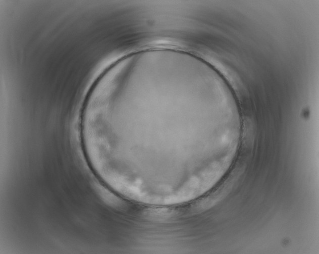 X0000116831474201001081427