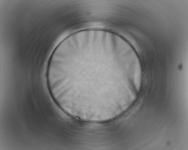 X0000116831475201001081427