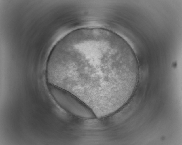 X0000116831477201001081427