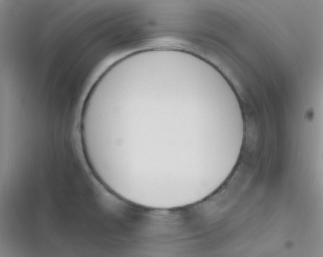 X0000116831478201001081427