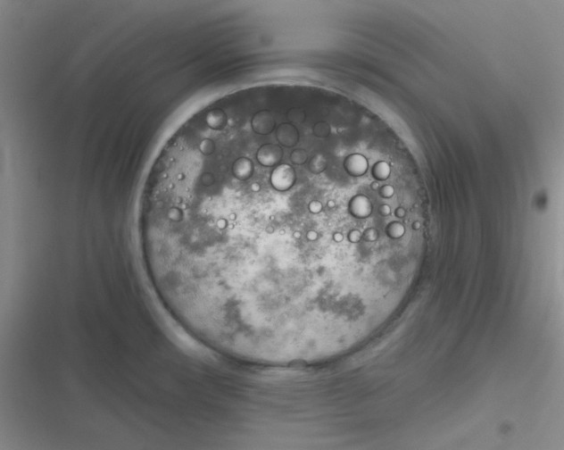 X0000116831482201001081427