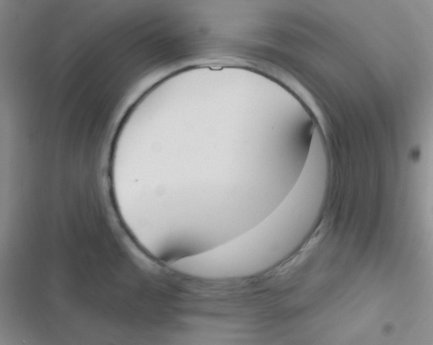 X0000116831485201001081427