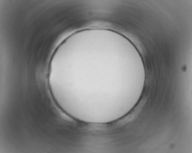 X0000116831486201001081427