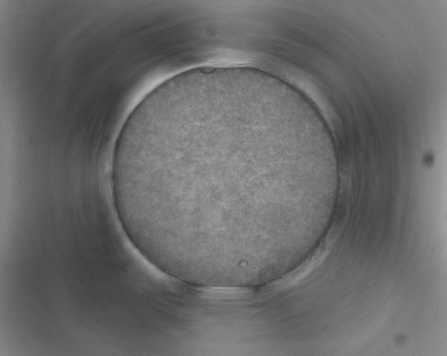 X0000116831487201001081427