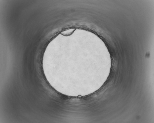 X0000116831489201001081426