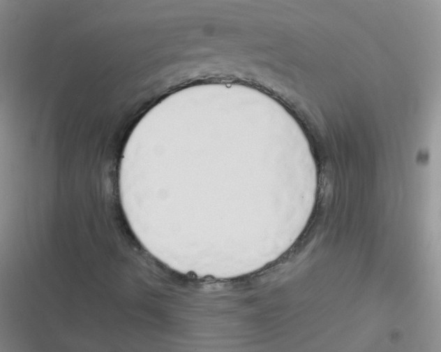 X0000116831490201001081426