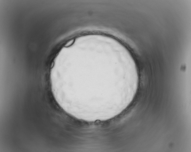 X0000116831494201001081427