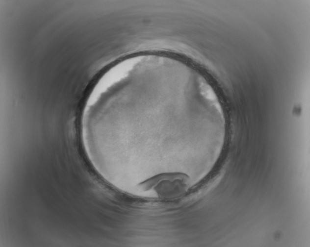 X0000116831497201001081427