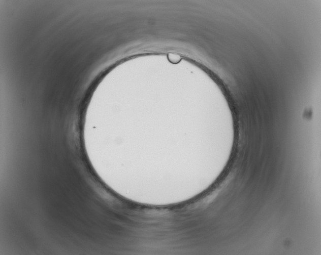 X0000116831498201001081427