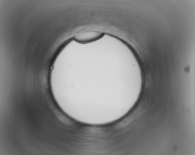 X0000116831499201001081427