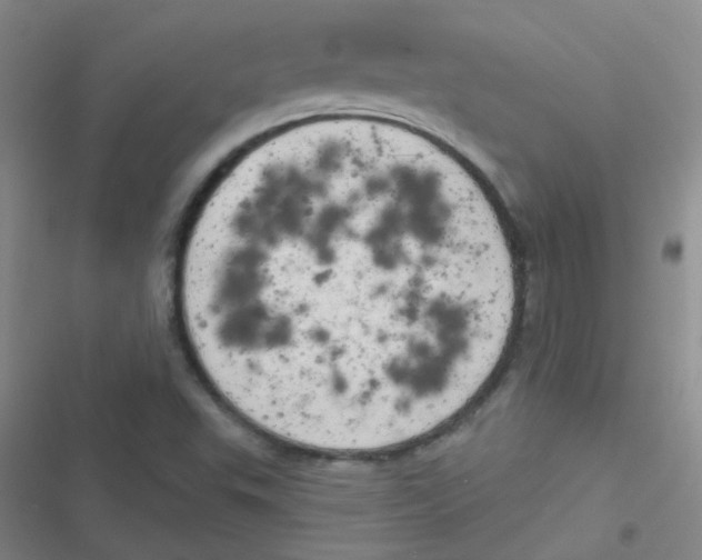 X0000116831503201001081427