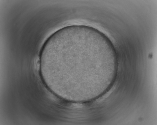 X0000116831509201001081427