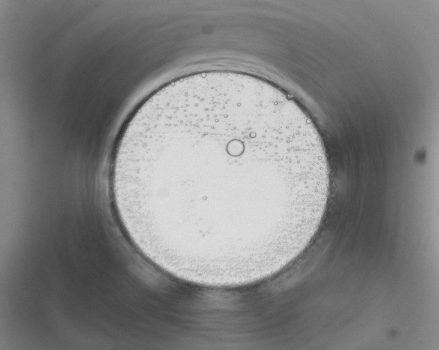 X0000116831514201001081427