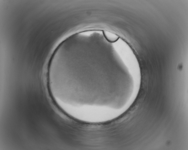 X0000116831519201001081427