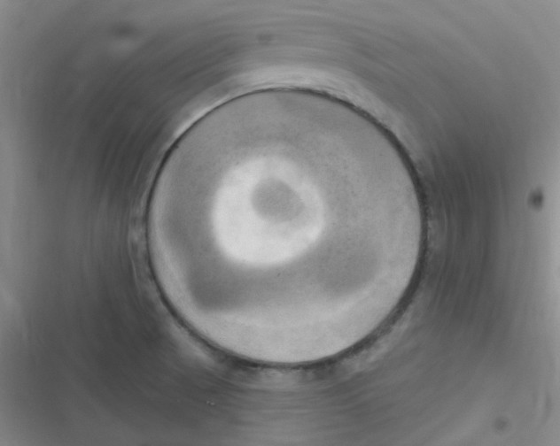 X0000116831521201001081427