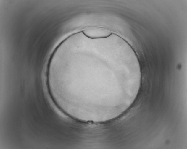 X0000116831523201001081427