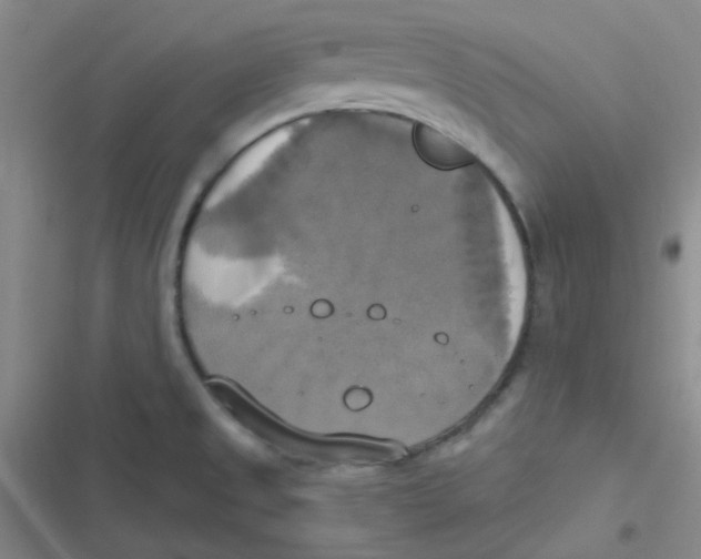 X0000116831525201001081427