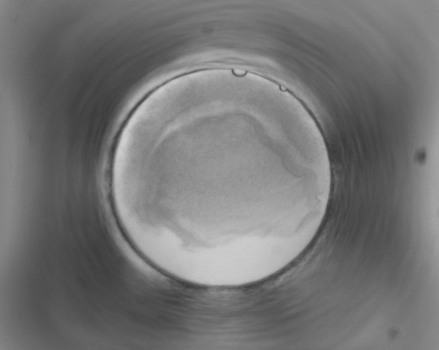 X0000116831531201001081427