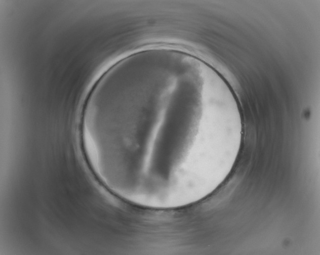 X0000116831533201001081427