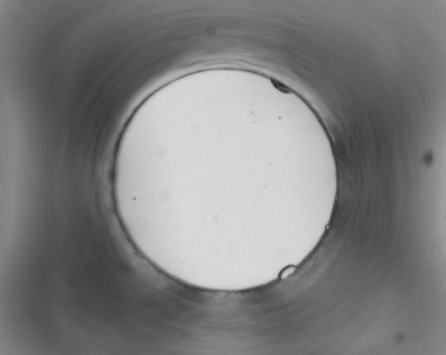 X0000116831534201001081427