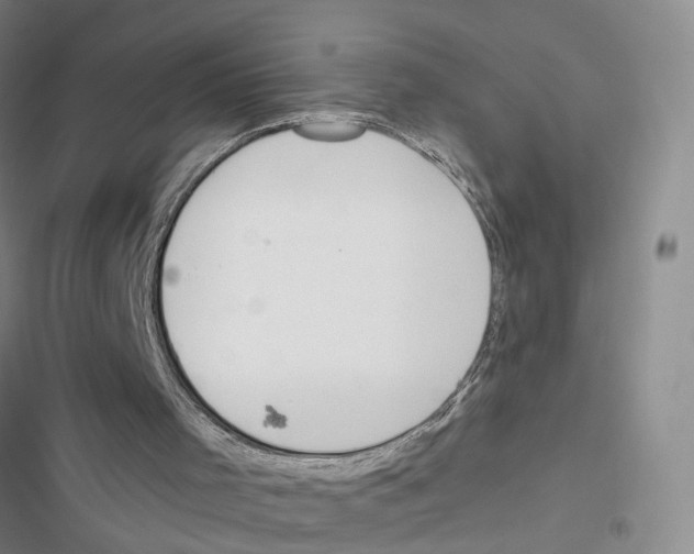 X0000116830001201001151236