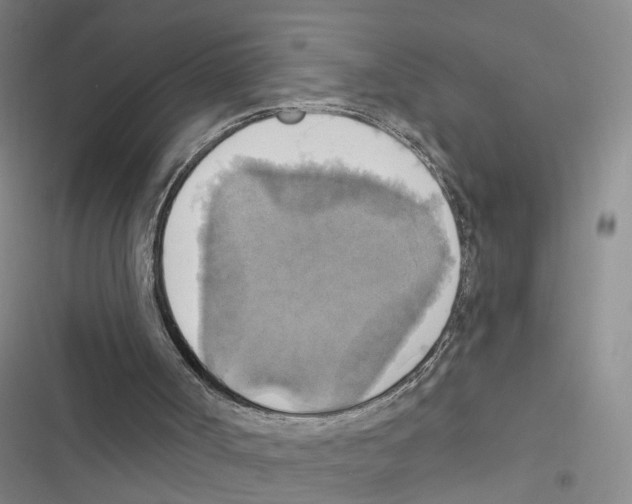 X0000116830002201001151236