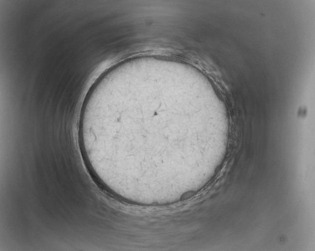 X0000116830003201001151236