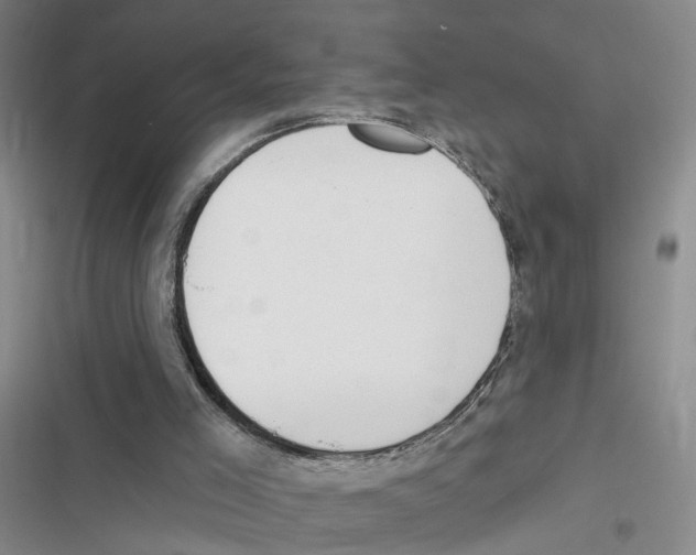 X0000116830005201001151236