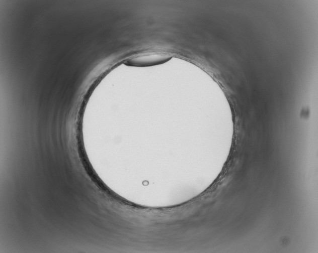 X0000116830007201001151236