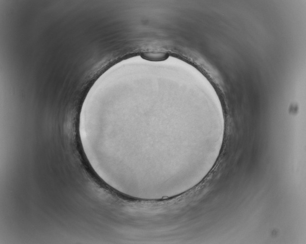 X0000116830009201001151236