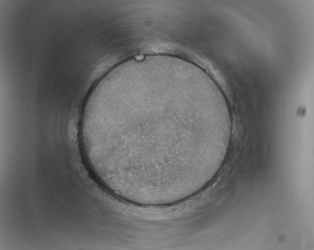 X0000116830010201001151236