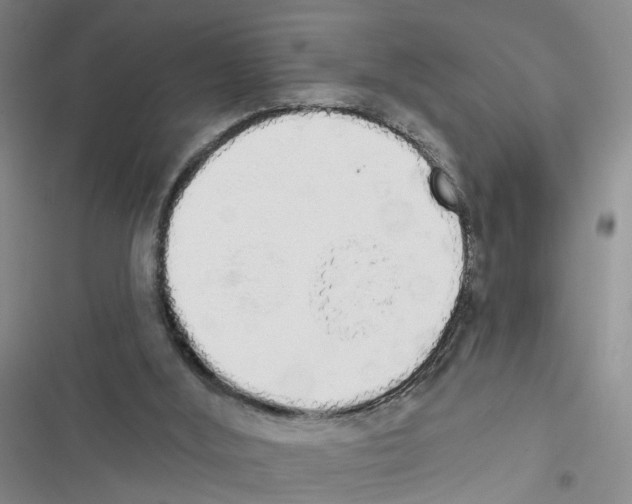 X0000116830012201001151236