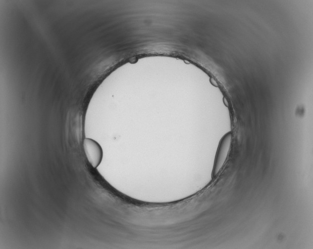 X0000116830013201001151236