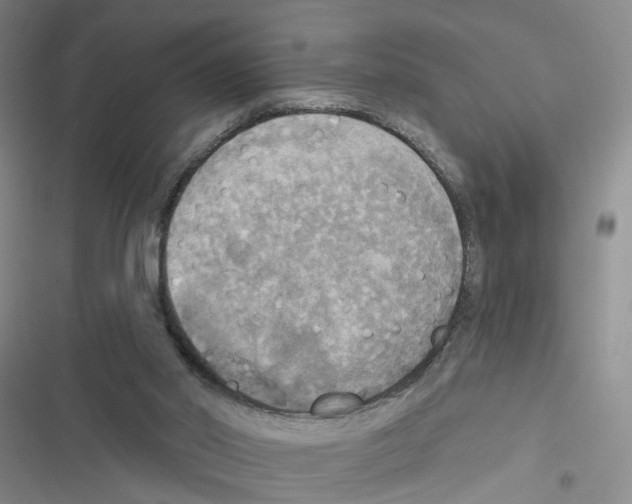 X0000116830014201001151236