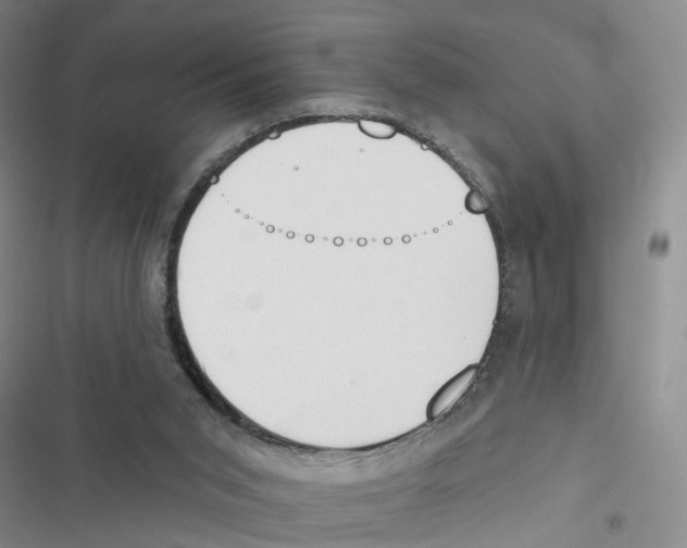 X0000116830015201001151236