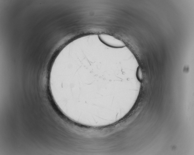 X0000116830016201001151236