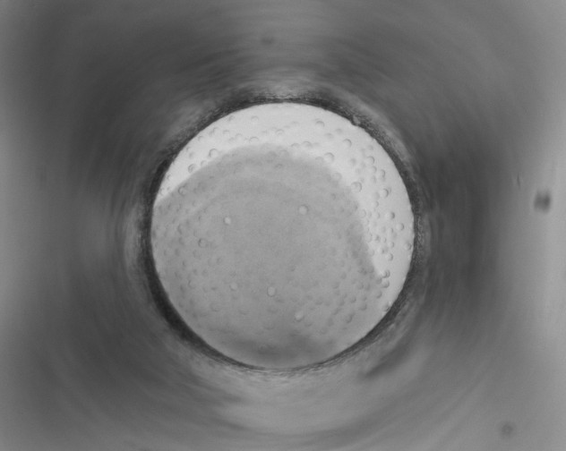 X0000116830018201001151236