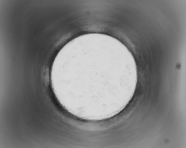 X0000116830020201001151236