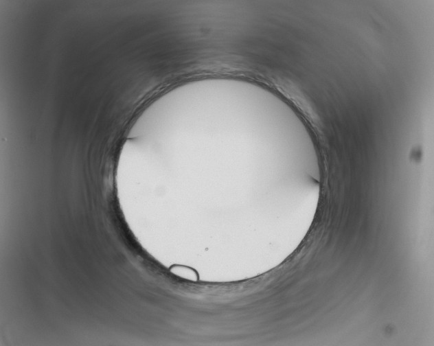 X0000116830021201001151236